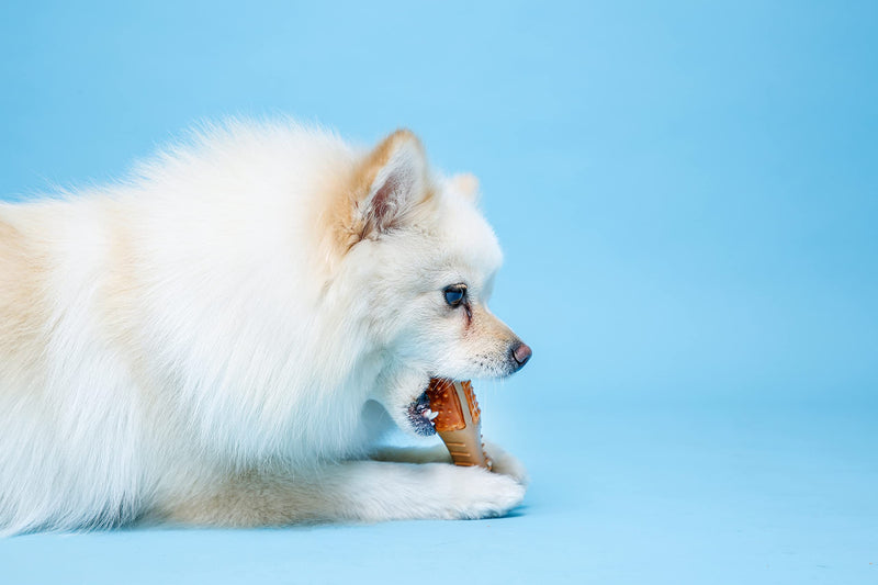 Hartz Chew 'n Clean Drumstick Dog Toy, Chicken Flavored Dog Chew Toy and Treat for Moderate Chewers Small - BeesActive Australia