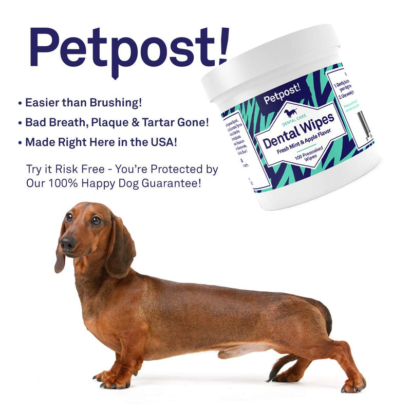 Petpost | Dental Wipes for Dogs - Bad Breath and Tooth Buildup Gone - 100 Presoaked Pads in Natural Tooth Cleaning Solution 100 Count (Pack of 1) - BeesActive Australia