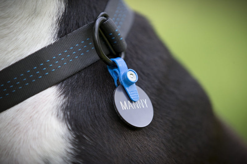 FreezeTag Dog Tag Silencer and Connector Sky Blue - BeesActive Australia