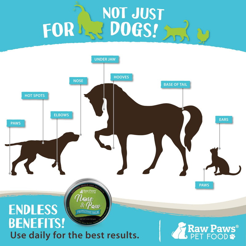 Raw Paws Natural Dog Nose Balm Bulldog, 4-oz - Dogs Nose Cream & Cat Nose Relief - Balm for Dogs Nose Relief for Dogs - Dog Nose Soother Snout Cream - French Bulldog Nose Butter Dog Nose Moisturizer 4-ounce - BeesActive Australia