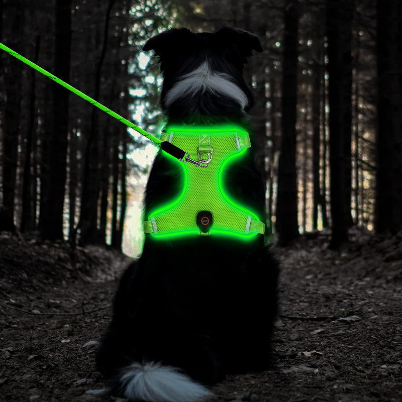 Tripolaco Light Up Dog Harness, High Visibility Led Dog Harness for Night Safety, USB Rechargeable Flashing Dog Harness for Night Walking, Glowing Dog Vest Harness for Small Medium Large Dogs Style-1 L - BeesActive Australia