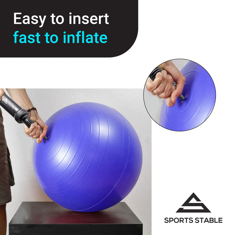 Sports Stable Exercise Ball Pump, Dual Inflation Manual Air Pump for Your Yoga and Pilates Ball, Pool Inflatables, and Party Balloons - BeesActive Australia