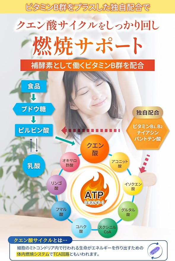 Citric Acid Edible [Supervised by Registered Dietitian] Citric Acid Capsules Made in Japan 60 days supply 180 capsules &WELL - BeesActive Australia