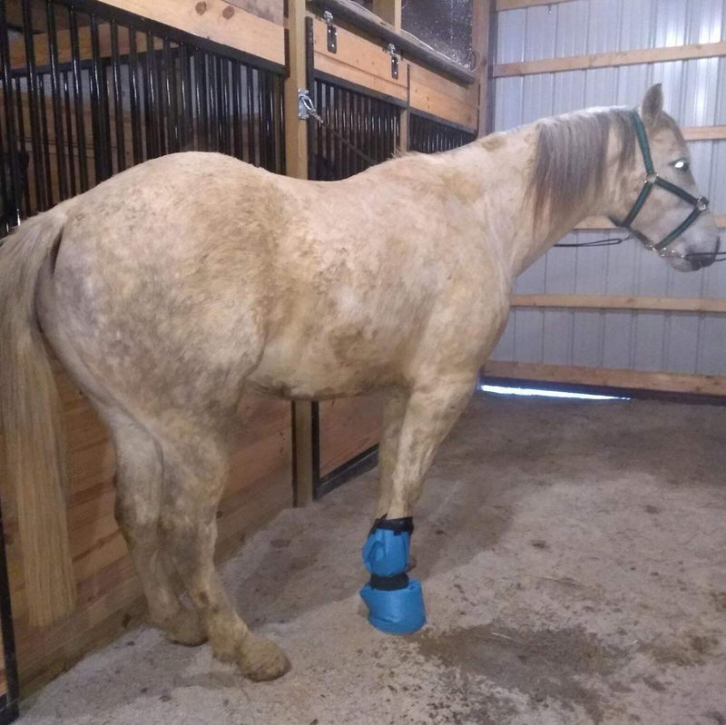 [AUSTRALIA] - yeezo Easy Use Hoof Soaking Boot for Horse Soaker Bag Equine Soaking Boot Hooves Care Treatment Bucket Soaker Sack with EVA Pad and 2 Elastic Bands 