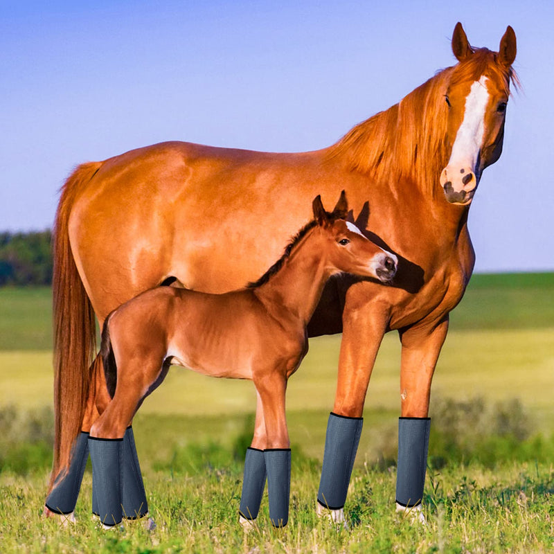 Vooph Fly Boots for Horses, Summer Protection Horse Fly Boots Breathable Plastic Mesh Loose Fitting Leggings for Horses Leg Wraps Reduce Stomping Hoof Damage and Leg Fatigue (Set of 4) - BeesActive Australia