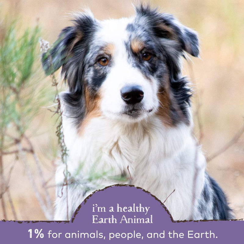 Earth Animal Healthy Weight Nutritional Supplement for Dogs & Cats, 8 oz – Made in the USA with Natural Ingredients - BeesActive Australia