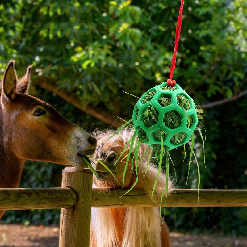 2pcs Horse Treat Ball Hay Feeder Toy Ball Hanging Feeding Toy for Horse Horse Goat Sheep Relieve Stress, Horse Stable Stall Paddock Rest Green - BeesActive Australia
