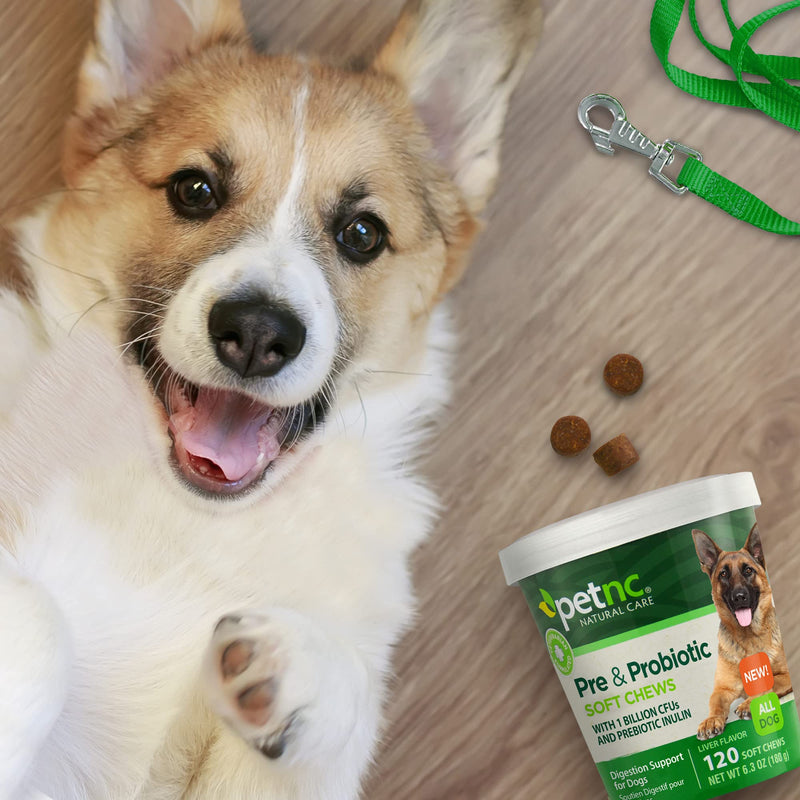 PetNC Natural Care Pre & Probiotic Soft Chews, 120 ct - BeesActive Australia