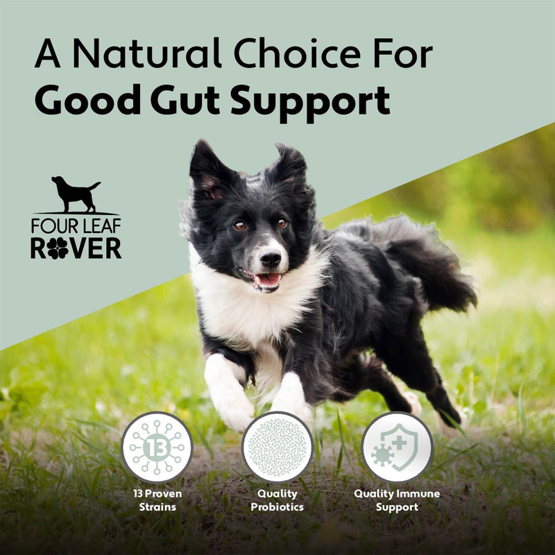 Four Leaf Rover: Bifido for Fido - Multi-Strain Dog Probiotics and Prebiotics for Immune Support - 50 Billion CFUs - Up to 120 Servings, Depending on Dog’s Weight - Vet Formulated - for All Breeds - BeesActive Australia