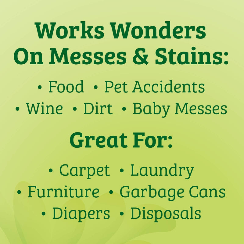 Biokleen Bac-Out Stain+Odor Remover, Destroys Stains & Odors Safely, for Pet Stains, Laundry, Diapers, Wine, Carpets, & More, Eco-Friendly, Non-Toxic, Plant-Based, 16 Ounces 1 Pack 16 Ounce - BeesActive Australia