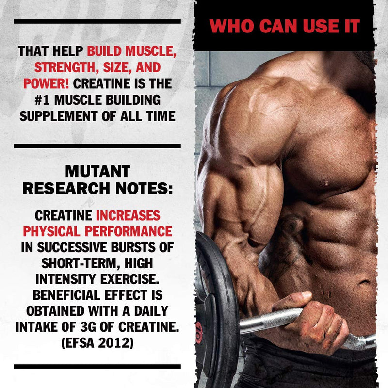 MUTANT CREAKONG, Creatine Supplement and Workout Boost Absorption Accelerator with No Fillers, 300g (0.66 lb) - BeesActive Australia