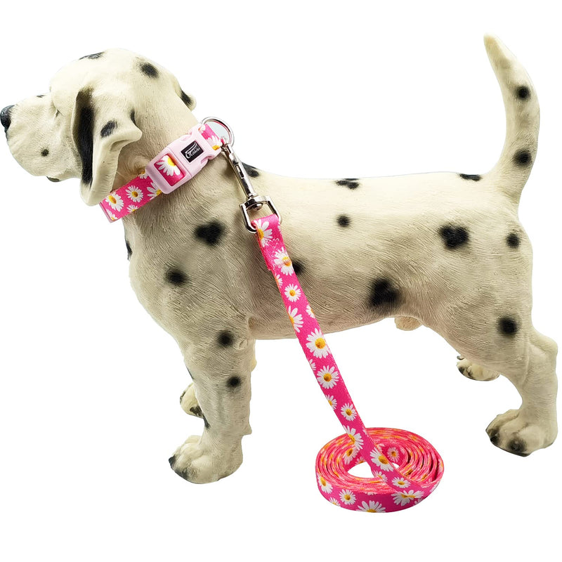 Olahibi Basic Dog Collar Leash Set 2 in 1, Durable Collar and 5ft Matching Lead. S Daisy Set - BeesActive Australia