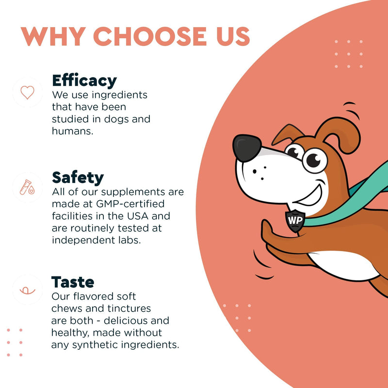 Wonder Paws Skin & Coat Supplement for Dogs with Salmon Oil, Omega 3 & 6, EPA & DHA, Promotes Healthy Skin and Coat, Itchy Relief, Joint and Overall Health, Delicious Flavor, 70 skin & coat Soft Chews - BeesActive Australia