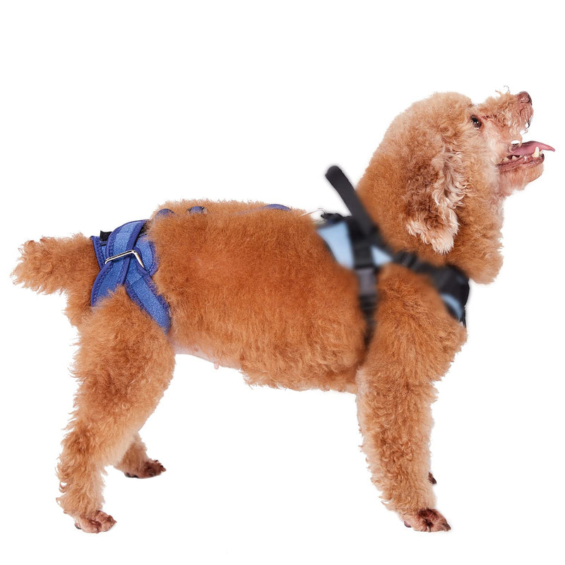 COODEO Dog Recovery Sleeve, Pet Wounds Prevent Licking, Bite, Being Wet and Infected, Abrasion Resistant Dog Recovery Suit, Washable Neoprene 2.5mm Thick and Waterproof, Cone Collar Alternative L - BeesActive Australia