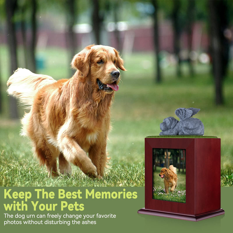 NEWDREAM: Pet Cremation Urns,Pet Photo Urn,Dog Ashes Urn, Box for Dog Ashes, Pet Ashes Photo Box,Ash Box for Dogs, Wood Keepsake Memorial Urns - BeesActive Australia