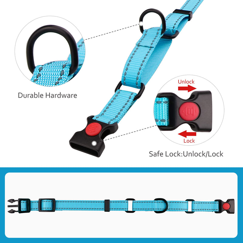Martingale Dog Collar and Leash Set Martingale Collars for Dogs Reflective Martingale Collar for Small Medium Large Dogs Sky Blue - BeesActive Australia