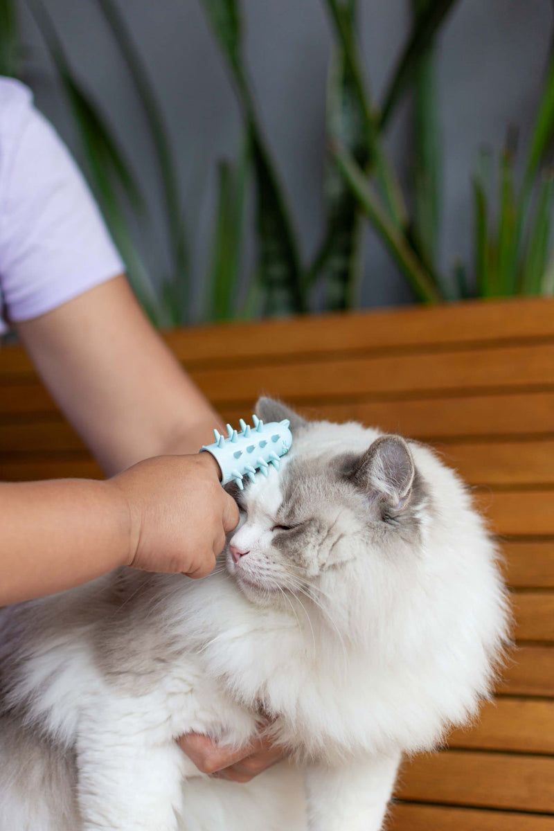 Fur&Purr Cat Grooming Brush & Massager Indoor Cats & Dogs. Kitten Long Hair Removal Comb for Cat Purrs & Scratches Small One Pack - BeesActive Australia