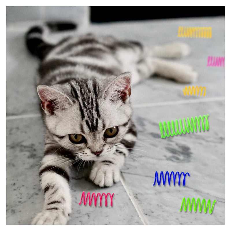 Andiker Cat Toys for Indoor Cats, 4 Big Cat Springs & 8 Small Springs Cat Interactive Toy for Swatting, Biting, Hunting Cat Creative Toy to Kill Time and Keep Fit Colorful Plastic Spring (12pc) - BeesActive Australia