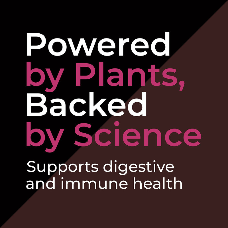 Biomel Complete Gut | Probiotic + Prebiotic | 30 Servings (Belgian Chocolate) Belgian Chocolate - BeesActive Australia