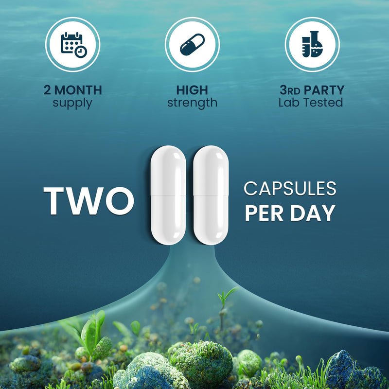 Advanced Sea Moss Capsules 2500mg | High Strength 4:1 Sea Moss Extract | 60 Vegan Capsules | Natural Iodine Supplement, Harvested & Made from Wild Seamoss (not Sea Moss Tablets) | Made in The UK - BeesActive Australia