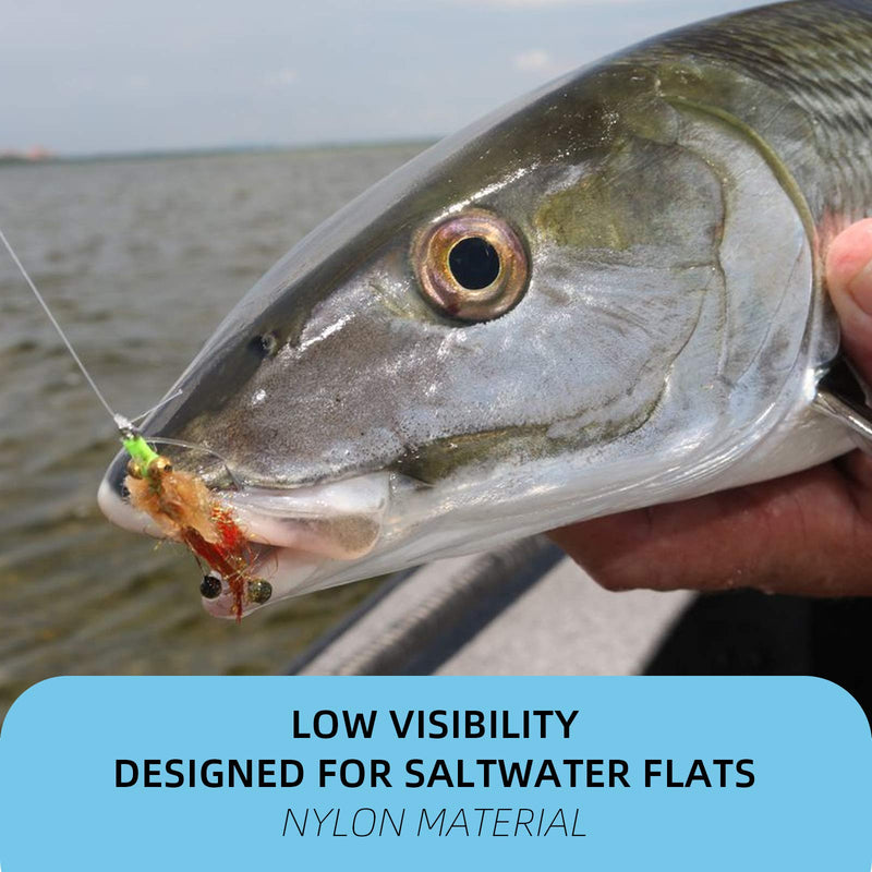 SF Pre-Tied Loop Saltwater Tapered Leader Fly Fishing 10FT 8/10/12/16/20/25/30/40lb Low Visibility High Strength Clear Nylon for Saltwater Bonefish Permit Nylon-Clear 10LB-0.009''-10FT - BeesActive Australia