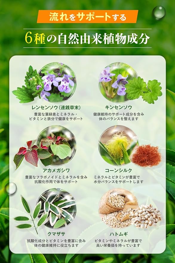 Ujirogashi 250mg 1 bag 7,500mg Supplement Domestic production 60 tablets 30 days supply Coix barley Chlorella Calcium Magnesium Domestic production - BeesActive Australia