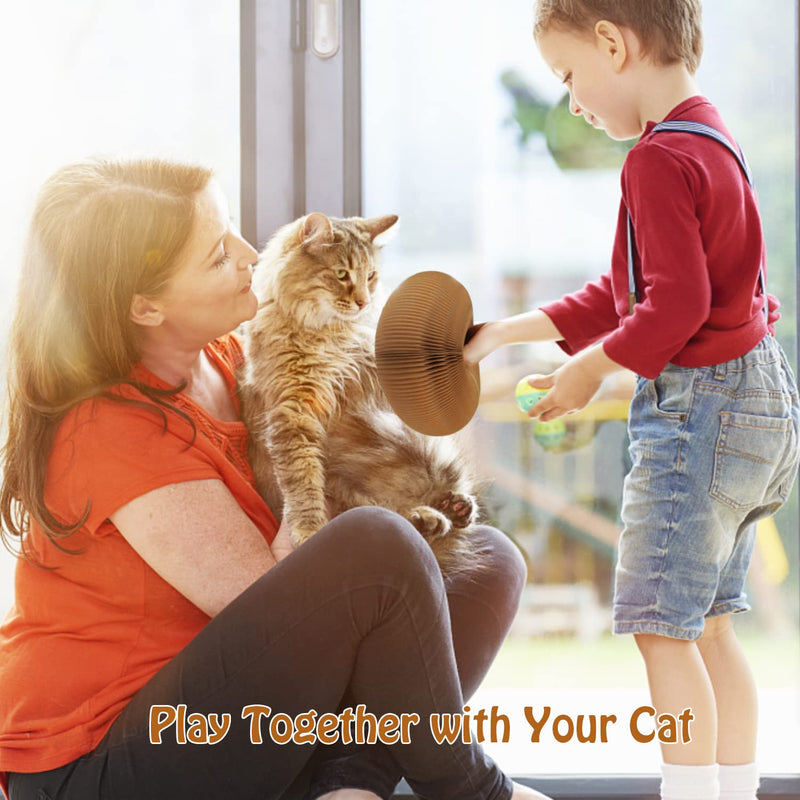Cat Ball Toy, Foldable Cat Ball Track with 2 Cat Bell Balls, Magic Organ Cat Scratching Board Cat Toy for Indoor Cats Exercise , Cat Scratcher - BeesActive Australia