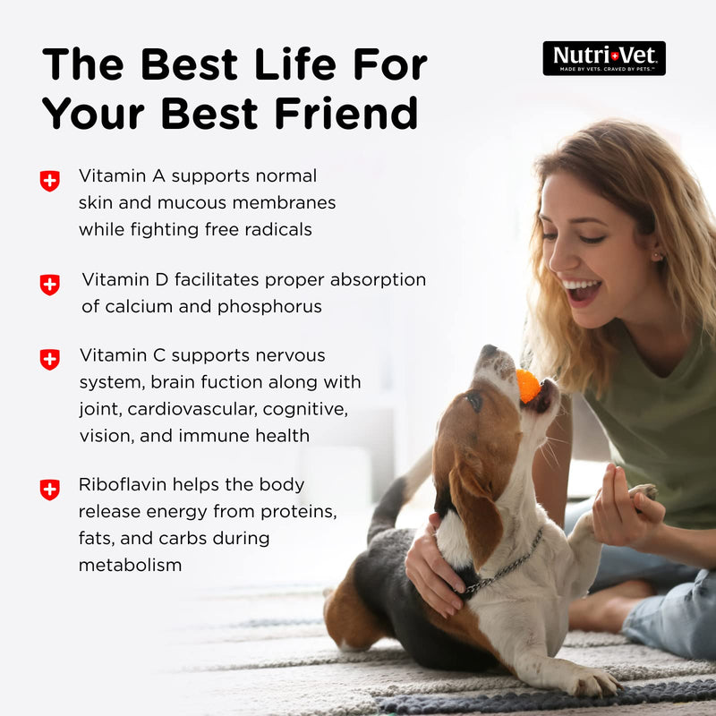 Nutri-Vet Multi-Vite Chewables for Adult Dogs | Daily Vitamin and Mineral Support to Help Maintain Peak Condition 180 ct - BeesActive Australia