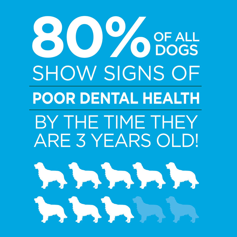 Vetality Brush Free Oral Gel for Dogs | Vet Formulated Dental Care with ProLong Technology | Cleans Teeth and Gums - BeesActive Australia