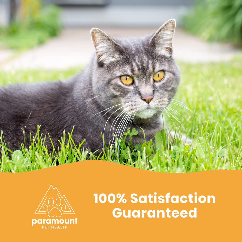 Paramount Pet Health Cat Glucosamine and Omega 3 Fish Oil Bundle - BeesActive Australia