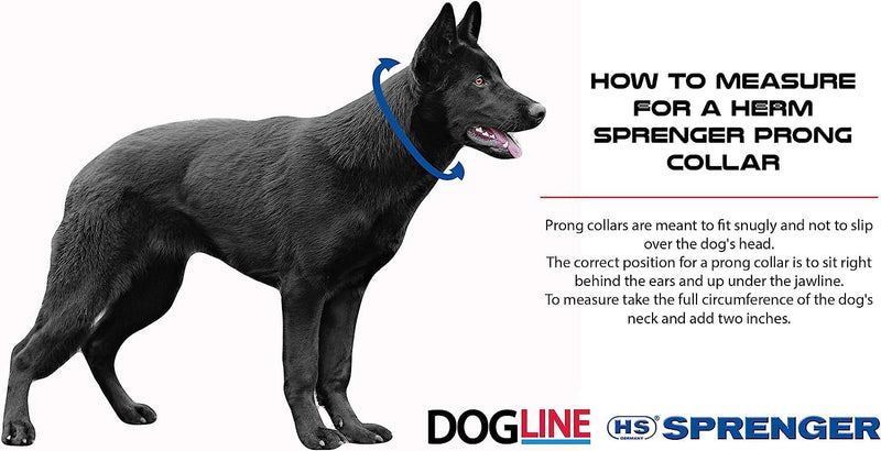 Herm Sprenger Prong Dog Training Collar Ultra-Plus Chrome Plated Steel Pet Pinch No-Pull for Dogs Anti Pull Made in Germany 2.25mm x 13in Small Silver 16in x 2.25mm (neck size up to 13in) - BeesActive Australia