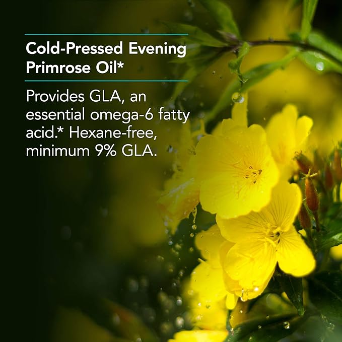 EPO Evening Primrose Oil 120 Softgels - BeesActive Australia