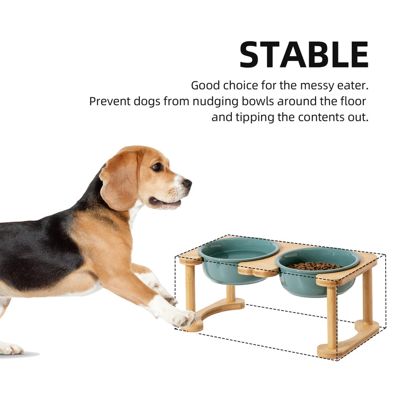 Havniva Ceramics Raised Dog Bowl with Non-Slip Stand Elevated Dog Bowl for Medium and Large Dog Food and Water Bowl Dog Dish Pet Feeding Bowl Medium - 6.9" Double - Dark Green - BeesActive Australia