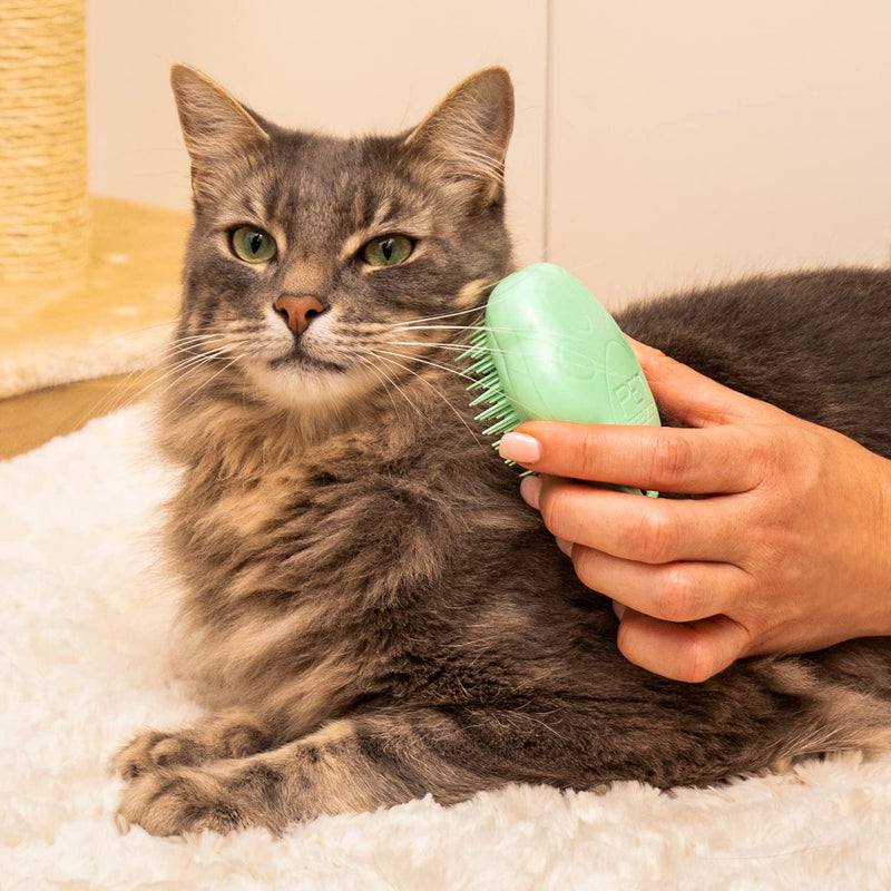 Tangle Teezer Cat Teezer | Small, De-Shedding Cat Hair Brush | Gentle, Soothing Brush for Cats | Green - BeesActive Australia
