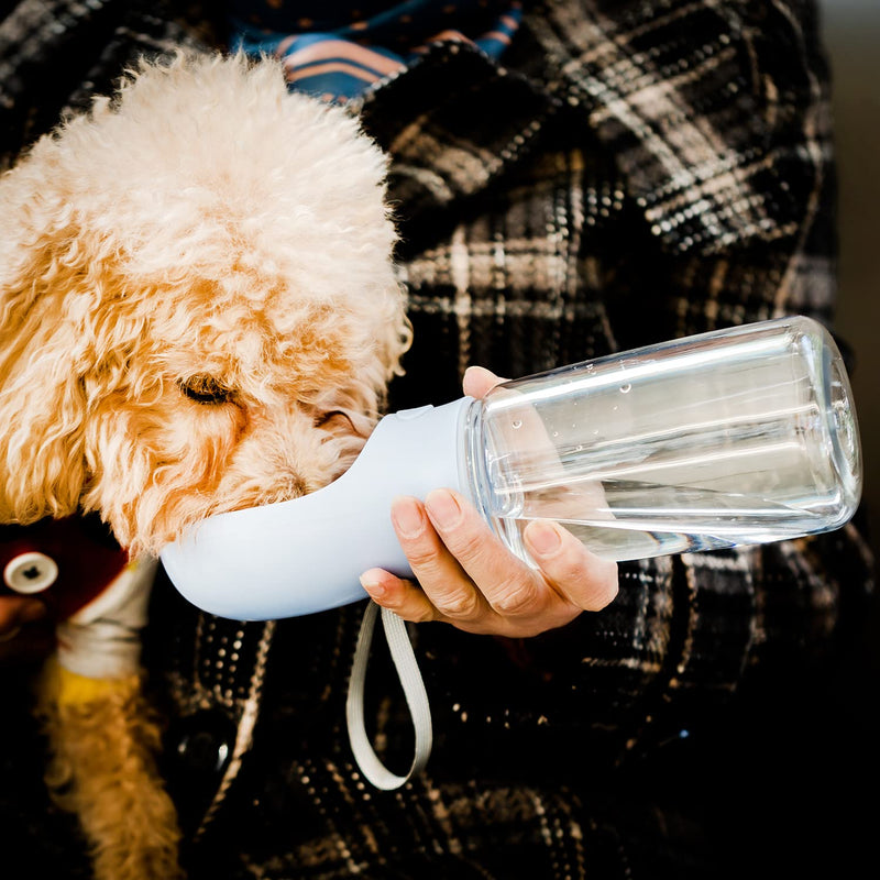 Mr. Pen- Dog Water Bottle, 19oz, Blue, Dog Water Bowl Dispenser, Water Dispenser for Dogs, Portable Dog Water Bottle, Water Bottle for Dogs, Pet Water Bottle, Dog Travel Water Bottle. - BeesActive Australia
