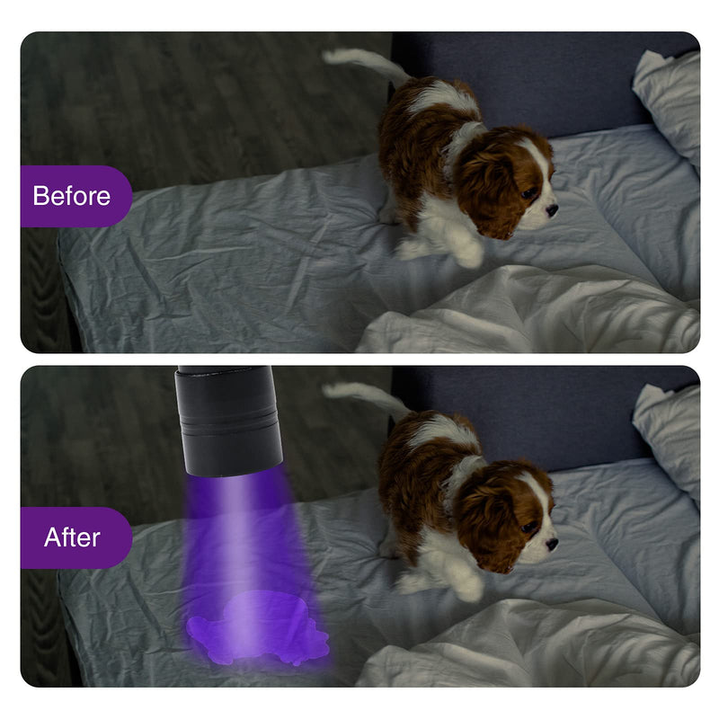 Black Light UV Flashlight, COSOOS 12 LED Handheld Black Light, Small UV Lights 395nm, Portable Pet Stain Detector for Dog Urine, Scorpions, and Bed Bugs. 1 Pack - BeesActive Australia