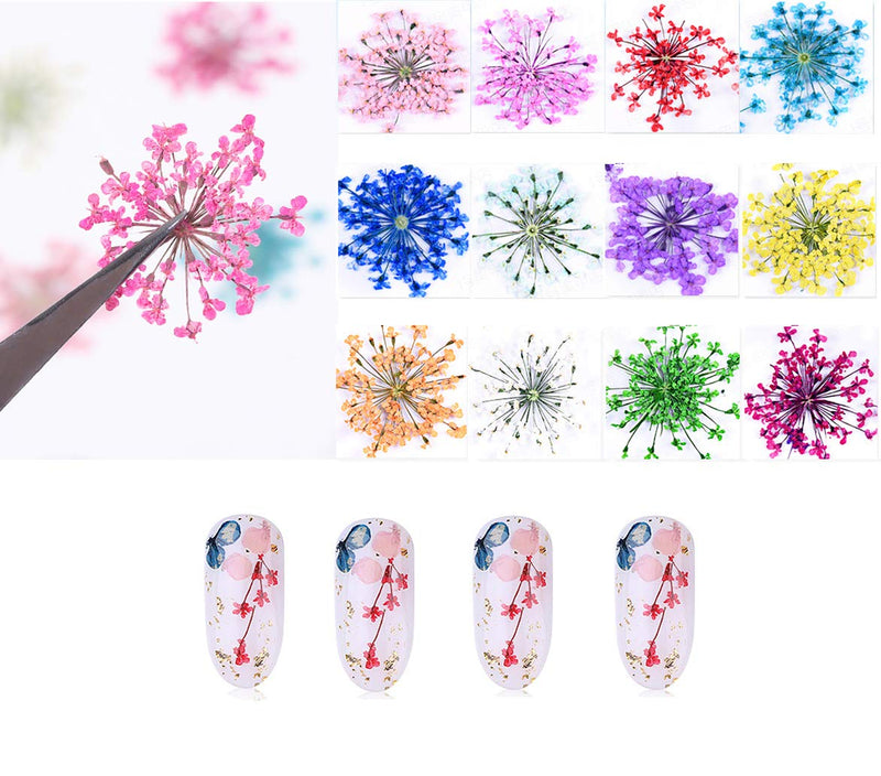 Penta Angel Dried Flowers for Nail Art 2 Boxes 24 Colors 3D Real Natural Dry Starry Leaves Flower Applique Stickers for Tips Manicure Decor - BeesActive Australia