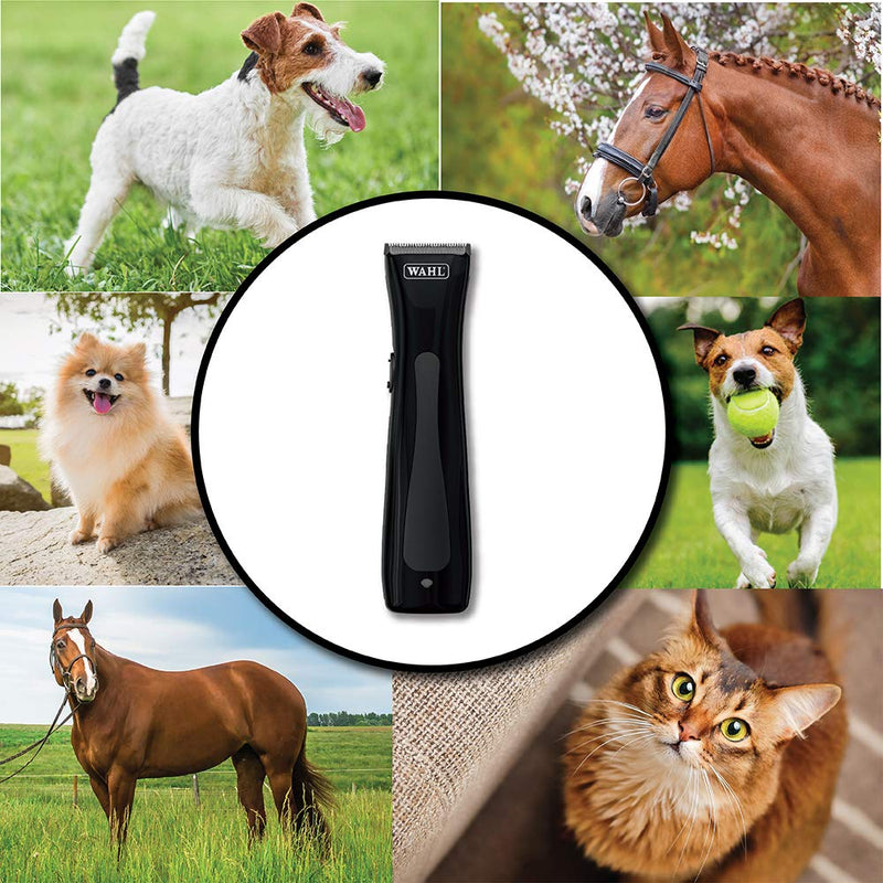 Wahl Professional Animal Mini Figura Pet, Dog, Cat, Horse, and Livestock Pet Trimmer Kit (#9868), Black, one Size - BeesActive Australia