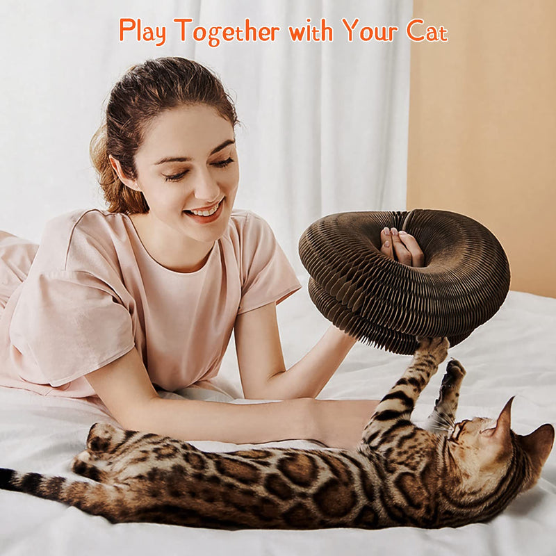 CusieryMax Cat Ball Toy, Deformable Cat Ball Track for Indoor Cats, combinable Magic Organ Cat Scratchboard with Ball, Interactive Mental Physical Training Exercise for Kitten. - BeesActive Australia