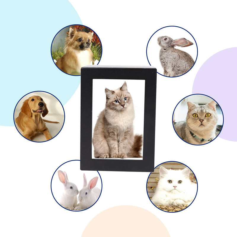 NEWDREAM:pet Cremation Box with Photo Frame,Dog urns for Ashes,pet Urns, Dog Cremation Box for Ashes, Pet Ashes Photo Box,Ash Box for Cat or Dog, Wood Keepsake Memorial Urns. (Black) black S - BeesActive Australia