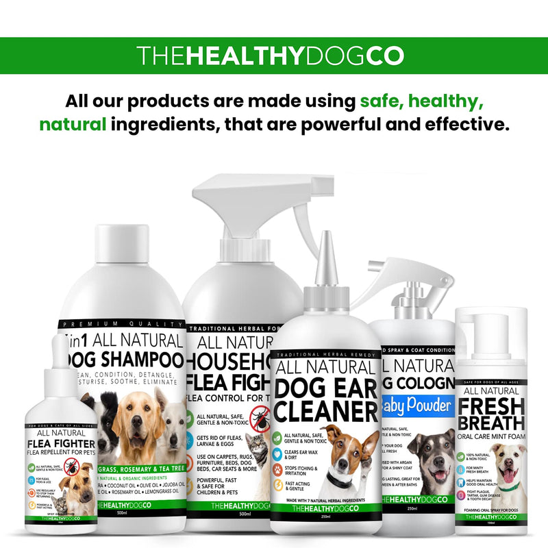 The Healthy Dog Co - Dog Shampoo for Itchy Skin - Dog Shampoo Sensitive Skin - Natural Itch Relief for Dogs - Dog Itchy Skin Treatment - Itchy Skin Relief for Dog - Anti Itch Dog Shampoo - 16oz - BeesActive Australia