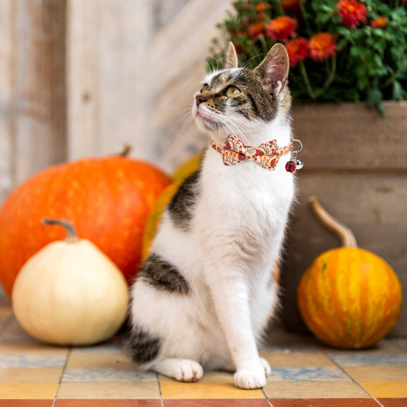 EXPAWLORER Thanksgiving Cat Collar with Removable Bow Tie and Bandana, 2 Pack Adjustable Cute Kitten Collar with Ladybug Squirrel Bell Breakaway, Holiday Ideal Gift for Boy Girl Cats - BeesActive Australia