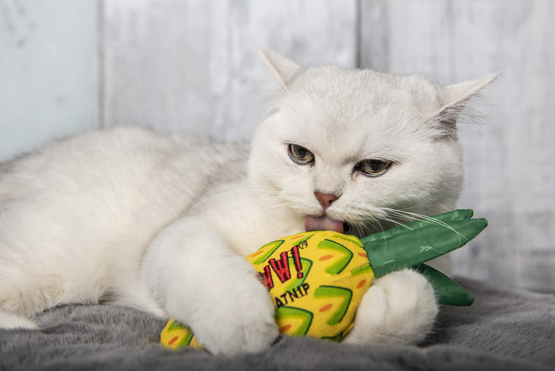 Yeowww! Catnip Pineapple - BeesActive Australia
