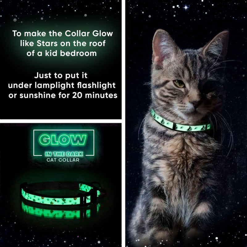Pawtitas Glow in The Dark Cat Collar with Safety Buckle and Removable Bell Cat Collar Kitten Collar Cat Collar Purple - BeesActive Australia