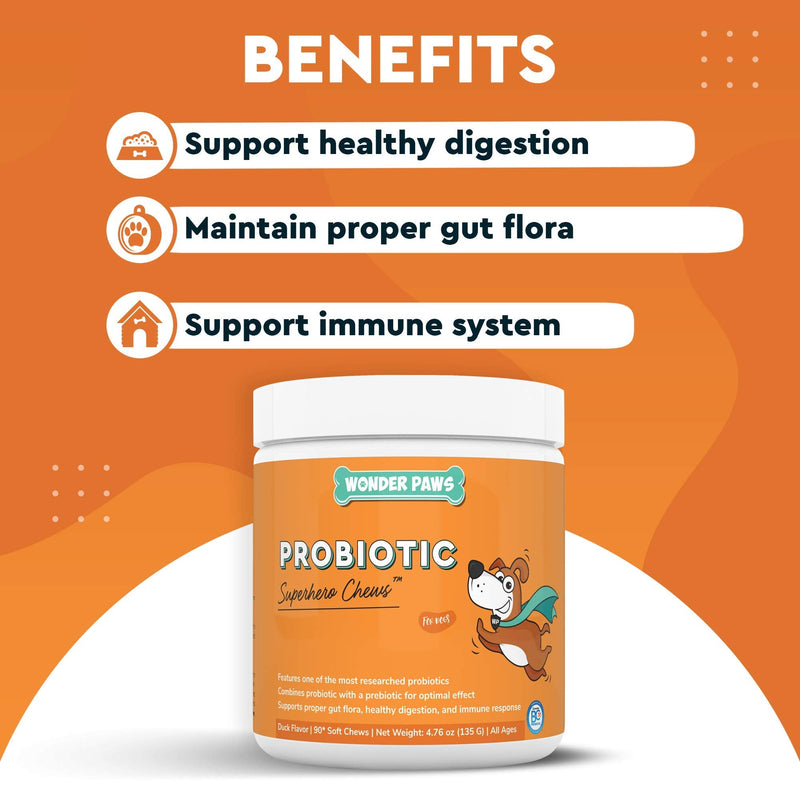 Wonder Paws Probiotics for Dogs – Daily Probiotic Supports Gut Health, Digestion, Gas, Bloating, Constipation, Stomach Relief & Immune Support - With Natural Probiotic & Prebiotic – 90 Probiotic Chews - BeesActive Australia