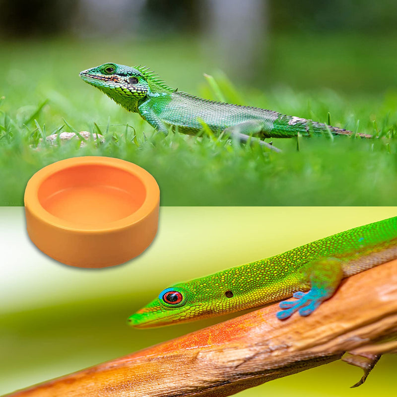 2 Pack Worm Dish Reptile Food Bowl Bearded Dragon Ceramic Bowl with Feeding Tongs (Yellow-Medium) - BeesActive Australia
