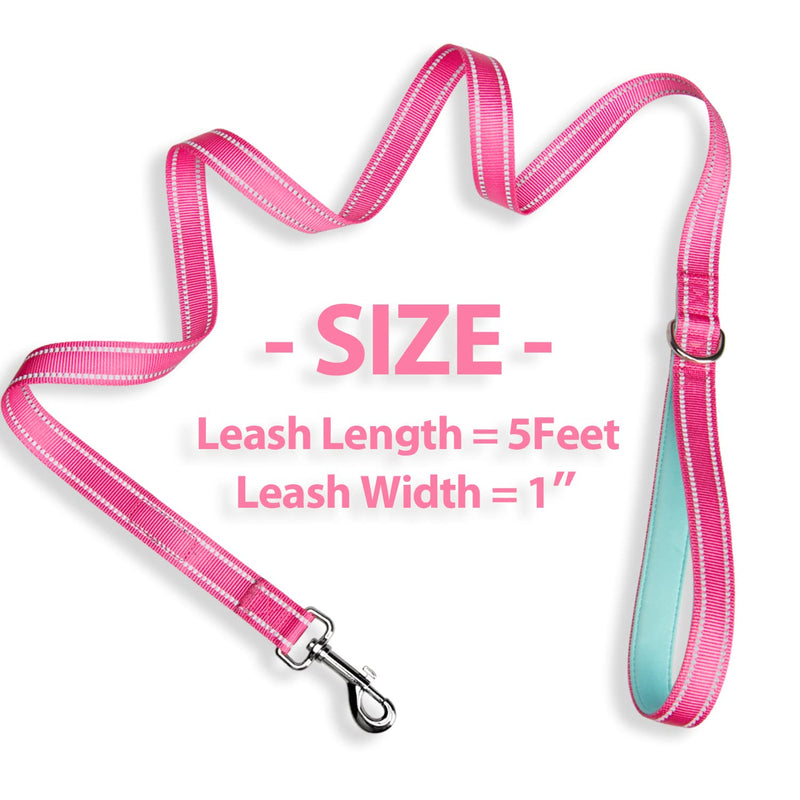 PHOEPET 5 Feet Dog Leash - Dual-Side Reflective - Soft Padded Handle - Fit for Walking, Training or Exploring Hiking, Camping L(Width: 1") Pink + Mint Green Base - BeesActive Australia