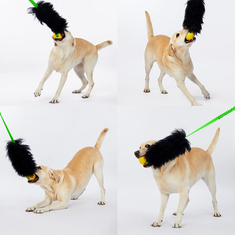 HOWGO Dog Bungee Chaser Toy 100% Sheepskin Bungee Chaser Toy, Rope Toy,Tug Toy for All Breeds Long-Style(Without rubber Ball) Green - BeesActive Australia