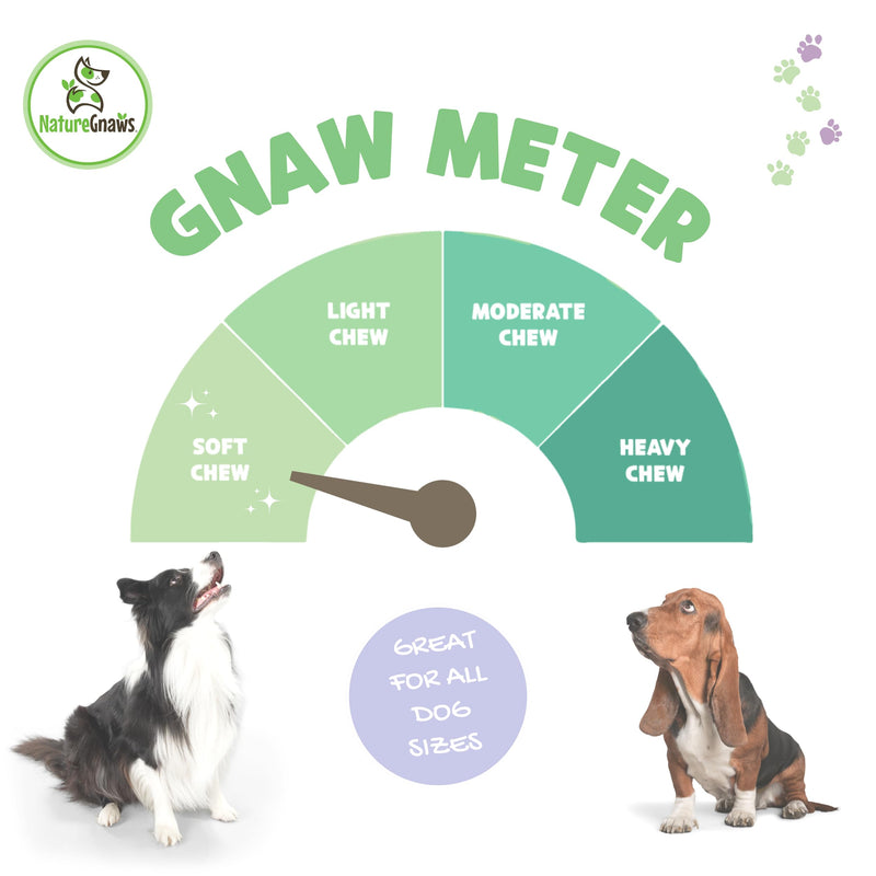 Nature Gnaws Sweet Potato Chips for Dogs - Single Ingredient Natural Dog Chew Treats - 12 oz - BeesActive Australia