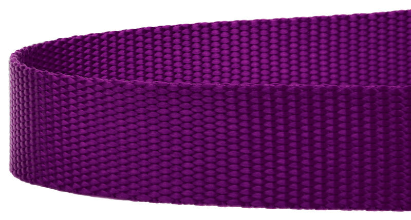 Country Brook Petz - 1 Inch Nylon Dog Leash - Strong, Durable, Traditional Style Leash with Easy to Use Snap - 25+ Colors - Multiple Lengths 6 Foot X 1 Inch Wide Purple - BeesActive Australia